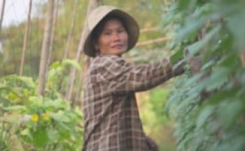 Empowering women in Vietnam