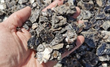 holding mining rocks
