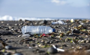 A plastic bottle litters a beach.