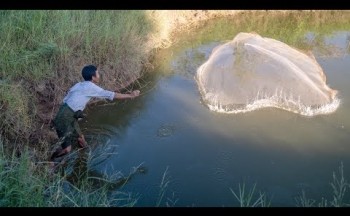 MYCulture: Promoting sustainable aquaculture in rural Myanmar 